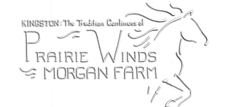 Prairie Winds Morgans South Dakota