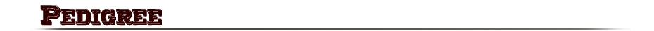 Morgan Pedigree